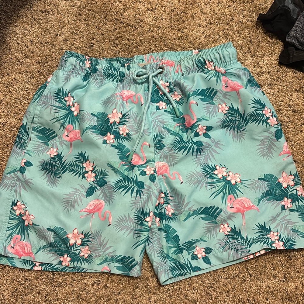 Alkis Men’s 6” swim trunks in good condition. size Men’s Small